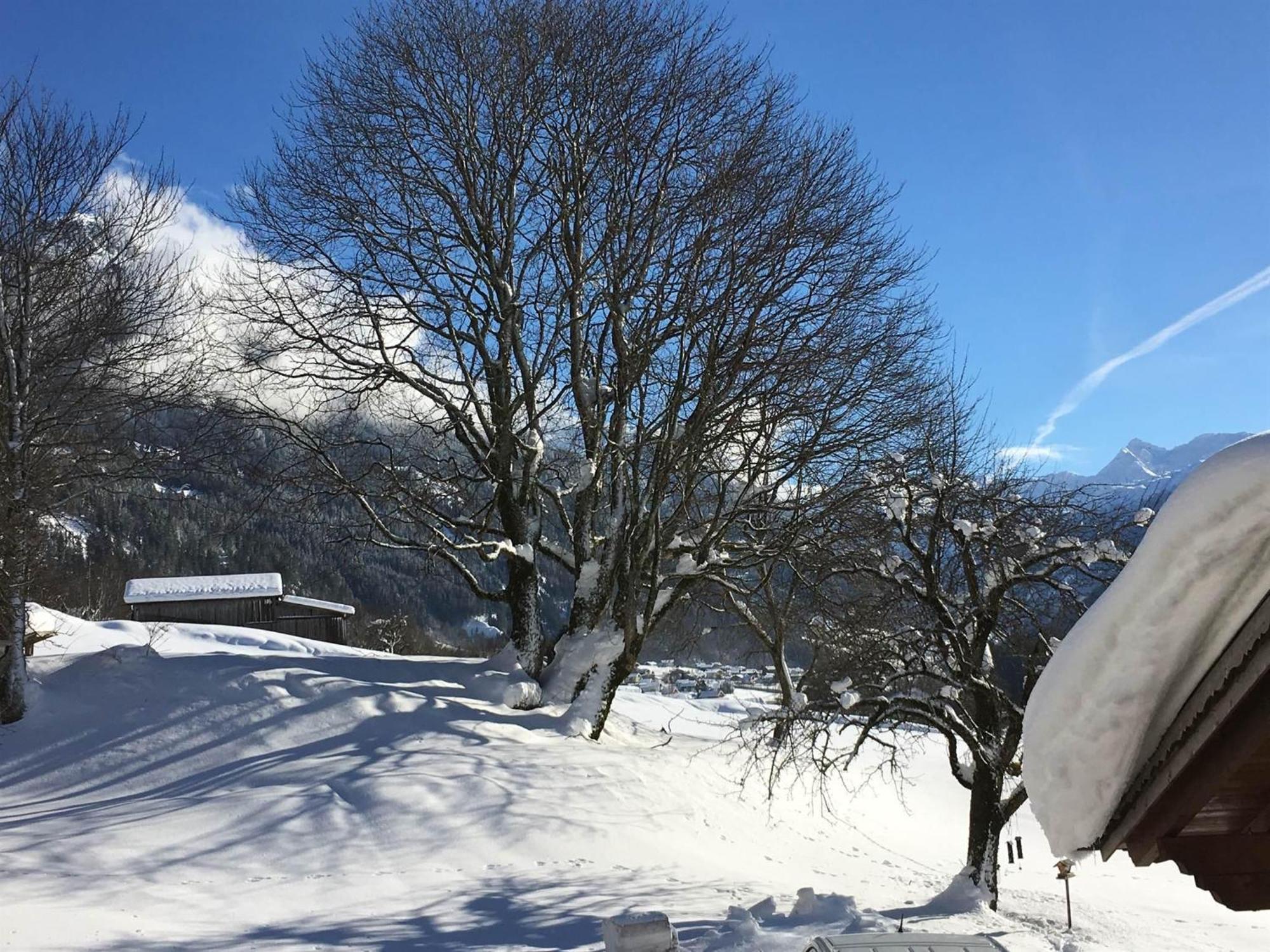 Zamanger Huesli Villa Sankt Gallenkirch Exteriör bild